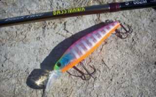 Выбираем спиннинг: новичку, для твичинга, джига, троллинга, универсальный