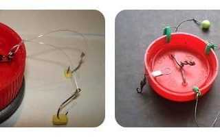 Донная снасть на карпа