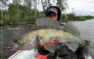 Лучшие виброхвосты