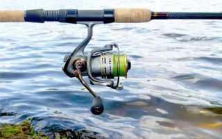 Как ловить линя на фидер и подготовить прикормку