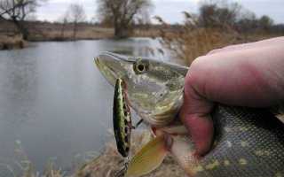 Как ловить на воблер? секреты успешной ловли на искусственные приманки