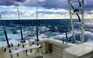 Морская рыбалка