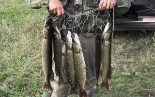 Как сделать кукан своими руками