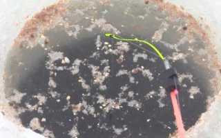 Особенности ловли карася зимой – тактика, техника и снасти