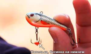Какие ратлины применяют на окуня зимой