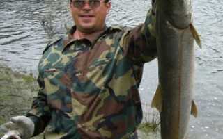 Рыбалка в районе Алтая