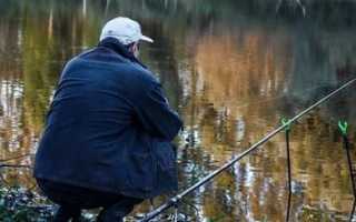 Как отсечь плотву при ловле карася