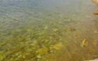 Цимлянское море вид сверху